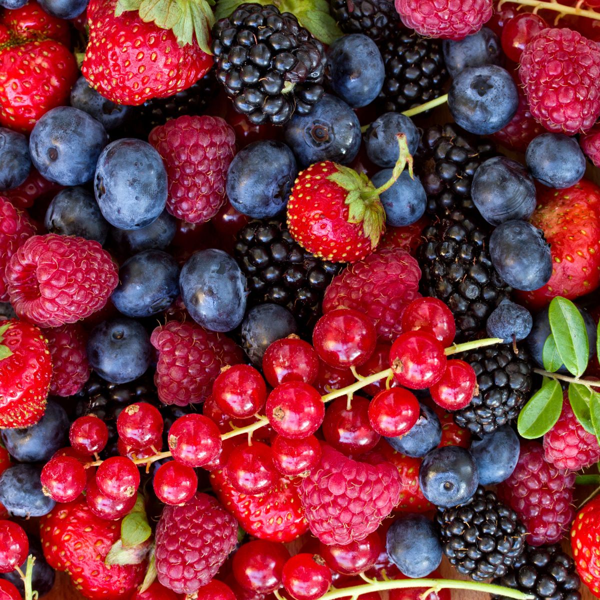 Alimentos y Compuestos Anticancerígenos
